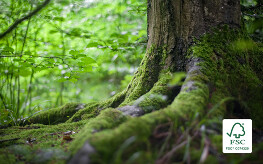 FSC® Zertifizierung wieder erfolgreich bestanden FSC® Zertifizierung wieder erfolgreich bestanden